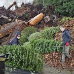 Troop 396 unloading trees